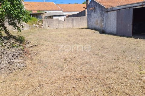 Villa a Tavarede, Coimbra, Tavarede - € 120.000 | Ref: ZMPT558958 - foto 17
