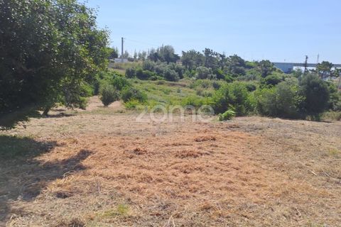 Villa a Tavarede, Coimbra, Tavarede - € 120.000 | Ref: ZMPT558958 - foto 18