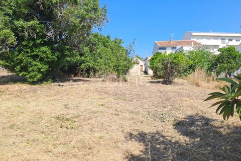 Villa a Tavarede, Coimbra, Tavarede - € 120.000 | Ref: ZMPT558958 - foto 20