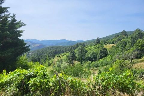 Villa a Les Vans, Ardeche, Les Vans - € 265.000 | Ref: 82887080 - foto 3