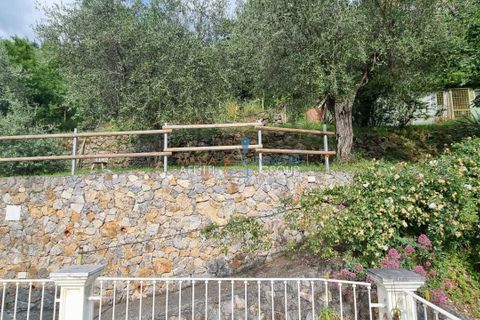 Villa i Carrara, Massa and Carrara, Carrara - € 380.000 | Ref: 2580 - foto 5