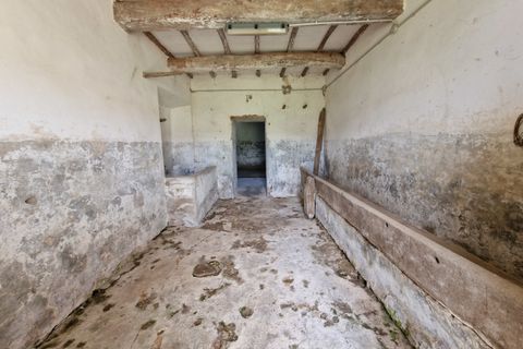Villa a Amelia, Terni, Amelia - € 168.000 | Ref: AMELIA17 - foto 4