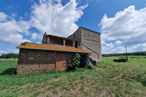 Villa a Amelia, Terni, Amelia - € 168.000 | Ref: AMELIA17 - foto 15