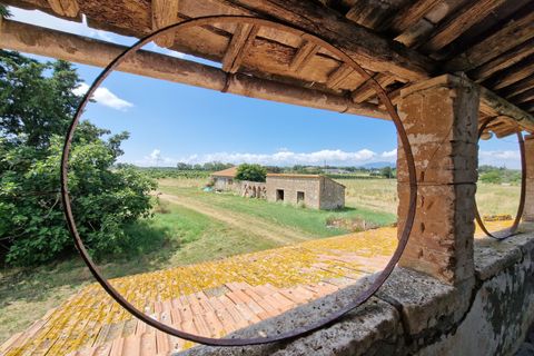 Villa a Amelia, Terni, Amelia - € 168.000 | Ref: AMELIA17 - foto 25
