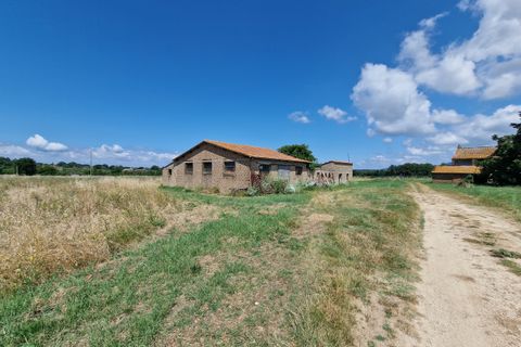 Villa a Amelia, Terni, Amelia - € 168.000 | Ref: AMELIA17 - foto 27