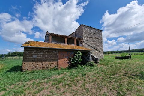 Villa a Amelia, Terni, Amelia - € 168.000 | Ref: AMELIA17 - foto 38