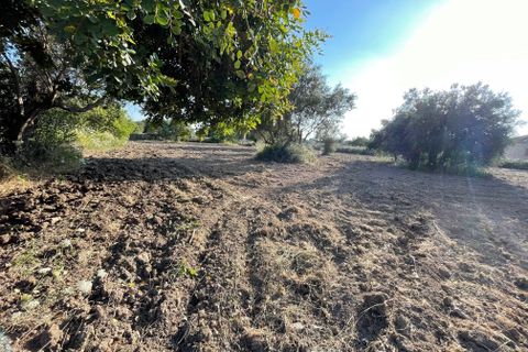 Villa i Modica, Ragusa, Modica - € 123.000 | Ref: 11260 - foto 10