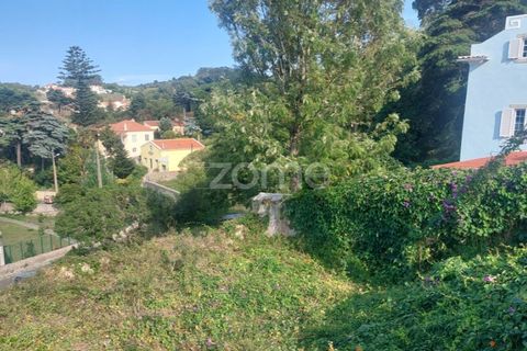 Helårsgrund i Sintra, Lisbon, Sintra - € 430.000 | Ref: ZMPT558719 - foto 13
