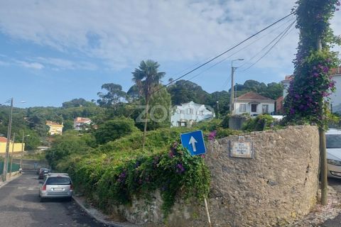 Helårsgrund i Sintra, Lisbon, Sintra - € 430.000 | Ref: ZMPT558719 - foto 10