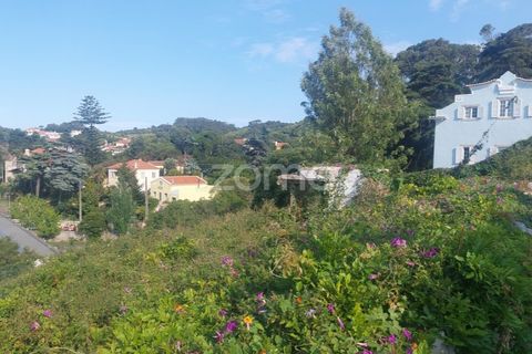 Helårsgrund i Sintra, Lisbon, Sintra - € 430.000 | Ref: ZMPT558719 - foto 2