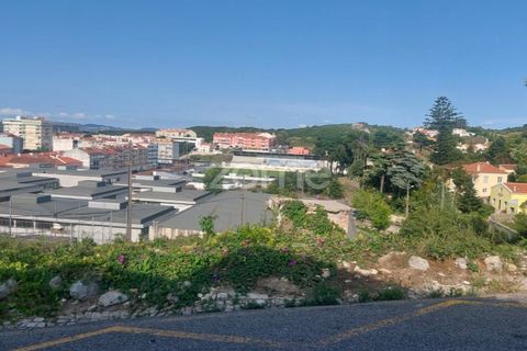 Helårsgrund i Sintra, Lisbon, Sintra - € 430.000 | Ref: ZMPT558719 - foto 4