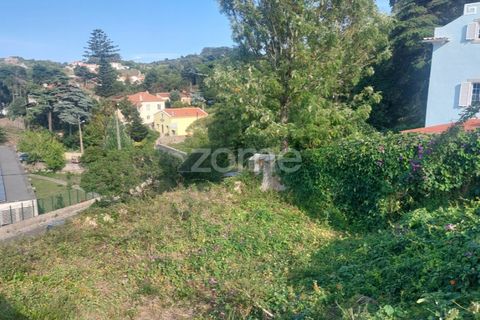Helårsgrund i Sintra, Lisbon, Sintra - € 430.000 | Ref: ZMPT558719 - foto 5