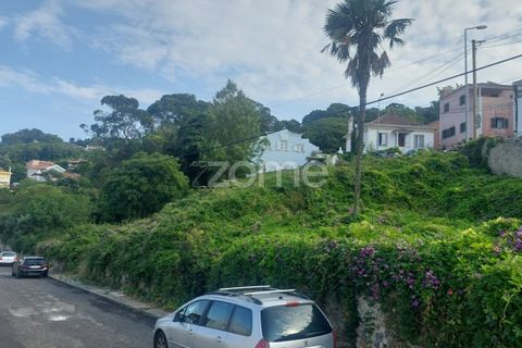 Helårsgrund i Sintra, Lisbon, Sintra - € 430.000 | Ref: ZMPT558719 - foto 1