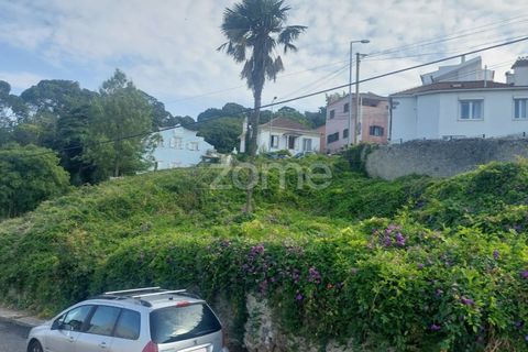 Helårsgrund i Sintra, Lisbon, Sintra - € 430.000 | Ref: ZMPT558719 - foto 7