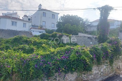 Helårsgrund i Sintra, Lisbon, Sintra - € 430.000 | Ref: ZMPT558719 - foto 8