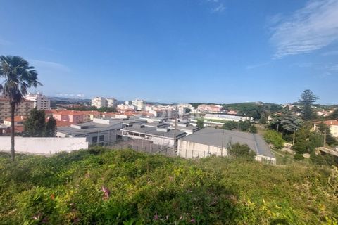 Helårsgrund i Sintra, Lisbon, Sintra - € 430.000 | Ref: ZMPT558719 - foto 11