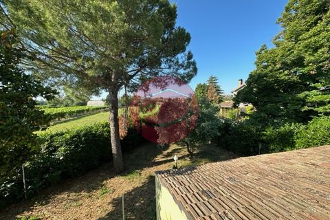 Landejendom i Santarcangelo Di Romagna, Rimini, Santarcangelo Di Romagna - € 350.000 | Ref: S-C3-09 - foto 13