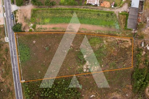Helårsgrund i Tabua, Coimbra, Tabua - € 150.000 | Ref: 1120991/23CB - foto 8