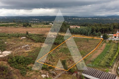 Helårsgrund i Tabua, Coimbra, Tabua - € 150.000 | Ref: 1120991/23CB - foto 9