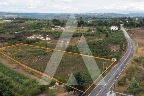 Helårsgrund i Tabua, Coimbra, Tabua - € 150.000 | Ref: 1120991/23CB - foto 10
