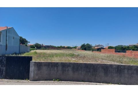 Tomt i Monte Real, Leiria, Monte Real - € 55 000 | Ref: mg1767 - foto 2