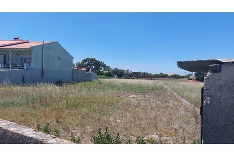 Tomt i Monte Real, Leiria, Monte Real - € 55 000 | Ref: mg1767 - foto 3