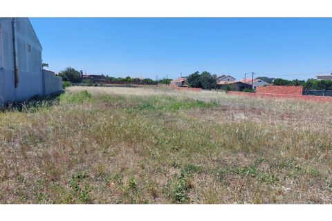 Tomt i Monte Real, Leiria, Monte Real - € 55 000 | Ref: mg1767 - foto 4