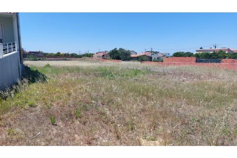 Tomt i Monte Real, Leiria, Monte Real - € 55 000 | Ref: mg1767 - foto 5