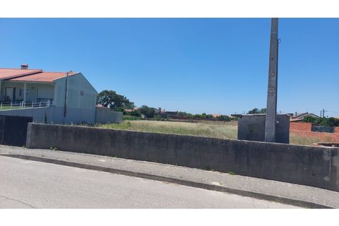 Tomt i Monte Real, Leiria, Monte Real - € 55 000 | Ref: mg1767 - foto 6