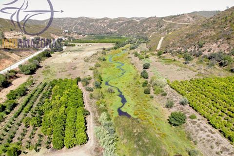 Landejendom i Monchique, Faro, Monchique - € 930.000 | Ref: 07-478 - foto 8