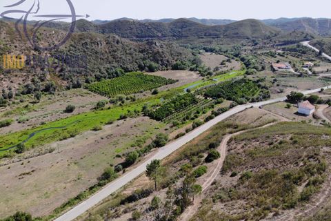 Landejendom i Monchique, Faro, Monchique - € 930.000 | Ref: 07-478 - foto 11