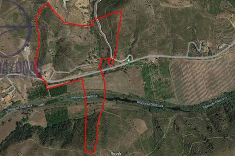 Landejendom i Monchique, Faro, Monchique - € 930.000 | Ref: 07-478 - foto 12