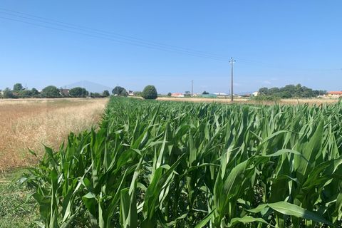 Tomt i Aveiro, Aveiro, Aveiro - € 115 000 | Ref: AV23/127 - foto 2