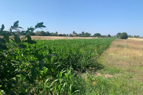 Tomt i Aveiro, Aveiro, Aveiro - € 115 000 | Ref: AV23/127 - foto 3