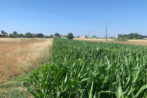 Tomt i Aveiro, Aveiro, Aveiro - € 115 000 | Ref: AV23/127 - foto 5