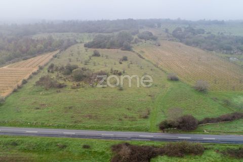 Helårsgrund i Vila Nova de Foz Coa, Guarda, Vila Nova de Foz Coa - € 44.900 | Ref: ZMPT558953 - foto 1