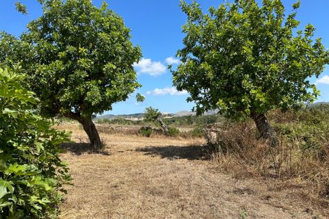 Cortijo i Arta, Mallorca, Arta - € 742.000 | Ref: 2626T - foto 7