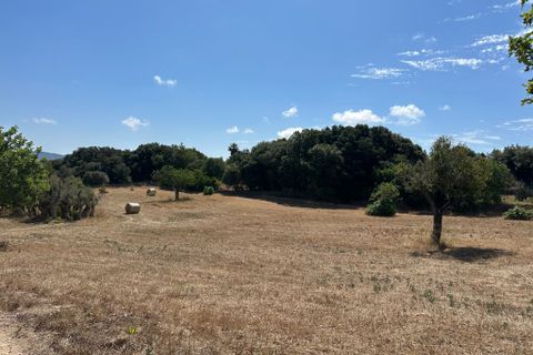 Cortijo i Arta, Mallorca, Arta - € 742.000 | Ref: 2626T - foto 8