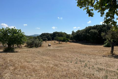 Cortijo i Arta, Mallorca, Arta - € 742.000 | Ref: 2626T - foto 9