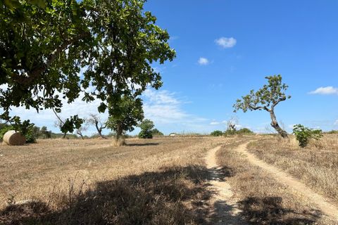 Cortijo i Arta, Mallorca, Arta - € 742.000 | Ref: 2626T - foto 10