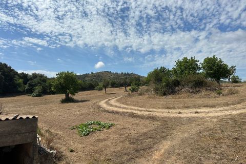 Cortijo i Arta, Mallorca, Arta - € 742.000 | Ref: 2626T - foto 13