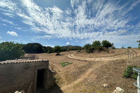 Cortijo i Arta, Mallorca, Arta - € 742.000 | Ref: 2626T - foto 14
