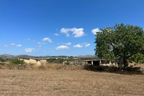 Cortijo i Arta, Mallorca, Arta - € 742.000 | Ref: 2626T - foto 15