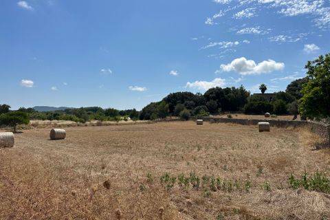 Cortijo i Arta, Mallorca, Arta - € 742.000 | Ref: 2626T - foto 16