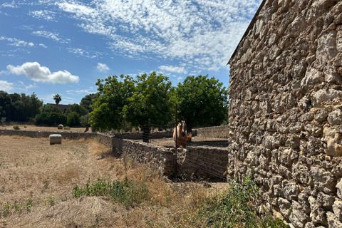 Cortijo i Arta, Mallorca, Arta - € 742.000 | Ref: 2626T - foto 17