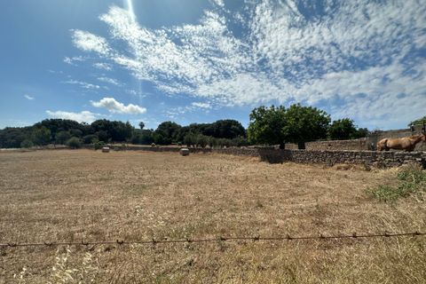 Cortijo i Arta, Mallorca, Arta - € 742.000 | Ref: 2626T - foto 20