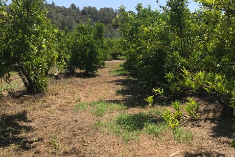Finca i Benifallet, Tarragona, Benifallet - € 98.000 | Ref: Riverside 14 - foto 17