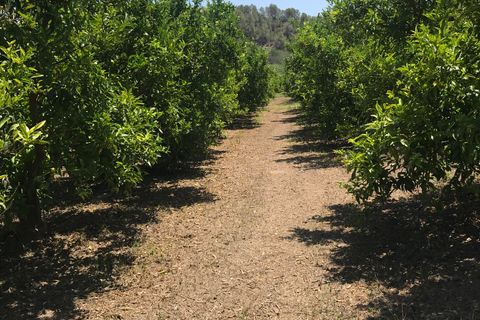 Finca i Benifallet, Tarragona, Benifallet - € 98.000 | Ref: Riverside 14 - foto 19