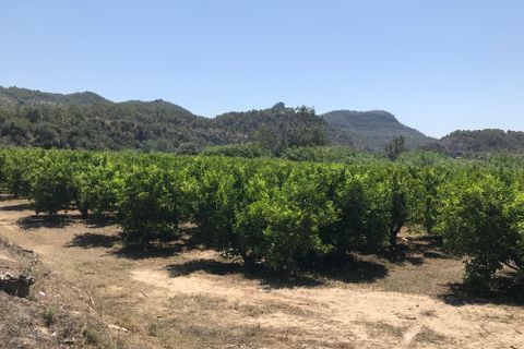Finca i Benifallet, Tarragona, Benifallet - € 98.000 | Ref: Riverside 14 - foto 10