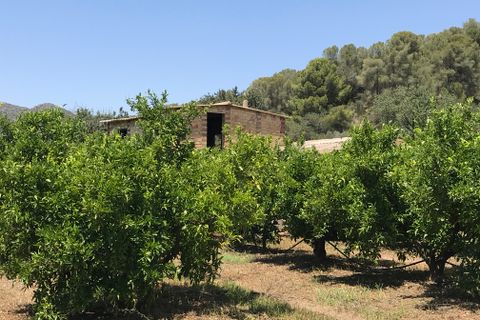 Finca i Benifallet, Tarragona, Benifallet - € 98.000 | Ref: Riverside 14 - foto 9